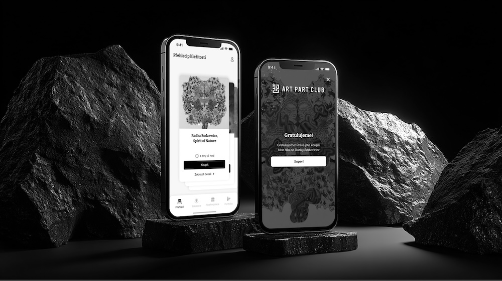 A co-ownership offer in the Art Part Club app
